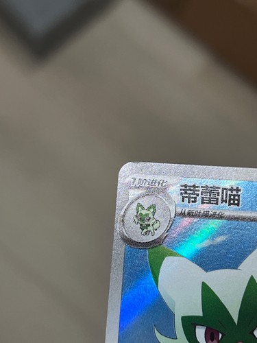 [US-Verkäufer] Pokemon S-Chinese Floragato 22 07/07 CBB5C 2207/07 Exclusive - Bild 9 von 28