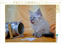 Calvendo Puzzle Kitten | 1000 Pieces, Finished Size 25.2 × 18.9 In (64 × 48 Cm)