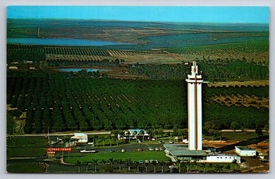 Postcard Elevator Aerial View Citrus Tower Clermont Florida USA Unposted