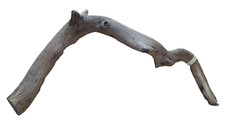Large curved sanded Manzanita branch 1