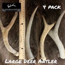 Large Mid-Grade Deer Antler Dog Chew 4 Pack