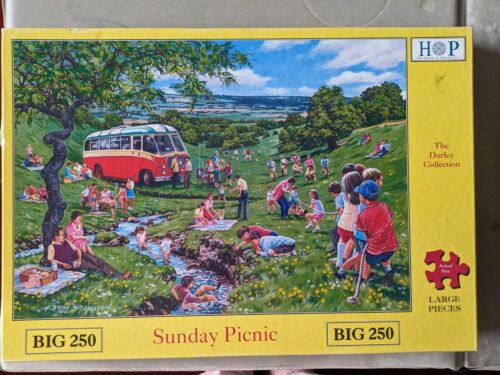 House of Puzzles  Big 250 Large Piece Jigsaw Puzzle good complete Sunday Picnic - Foto 1 di 9