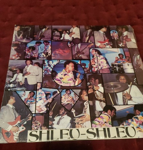 Rare Les Shleu Shleu A New York Mini Records 1038 LP - Imagen 6 de 7