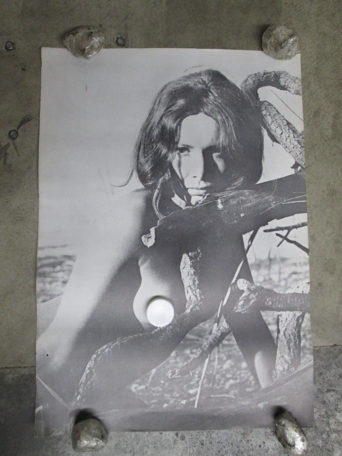 Foto 1 di 5