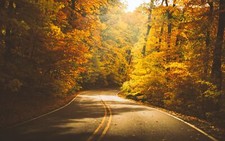 Landscape nature forest trees road fall orange Custom Gaming Mat Desk
