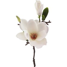 Kunstblume, künstliche MAGNOLIE 37cm. Mit Magnolienblüte und Knospe weiß WEISS
