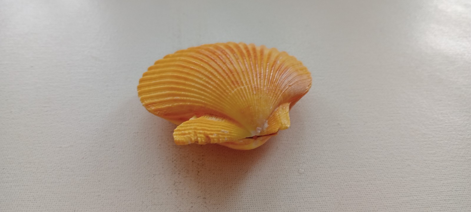 Picture 3 of 9