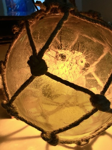 NUOVO Galleggiante in Vetro Giallo con Vero Pesce Tampone Giallo Lampadina LED Tiki Bar Decorazione - Foto 7 di 15