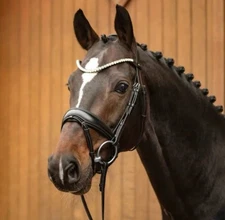 Passier Favorite Dressage Bridle by Ingrid Klimke Snaffle Full Size