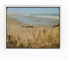 Sanitarium New Zealand Travel Card 1971. Scott Point, Ninety Mile Beach