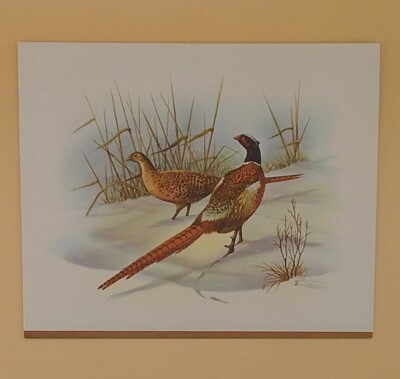 Vintage Christmas Card, Ring Necked Pheasants On Snowy Ground - Used, Card #1