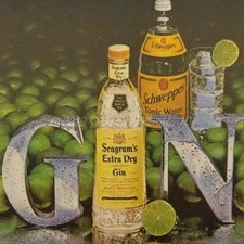 1982 Seagram's Gin Schweppes Tonic Limes cocktail bar photo art decor print ad