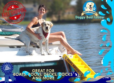 pawz dog boarding ladder