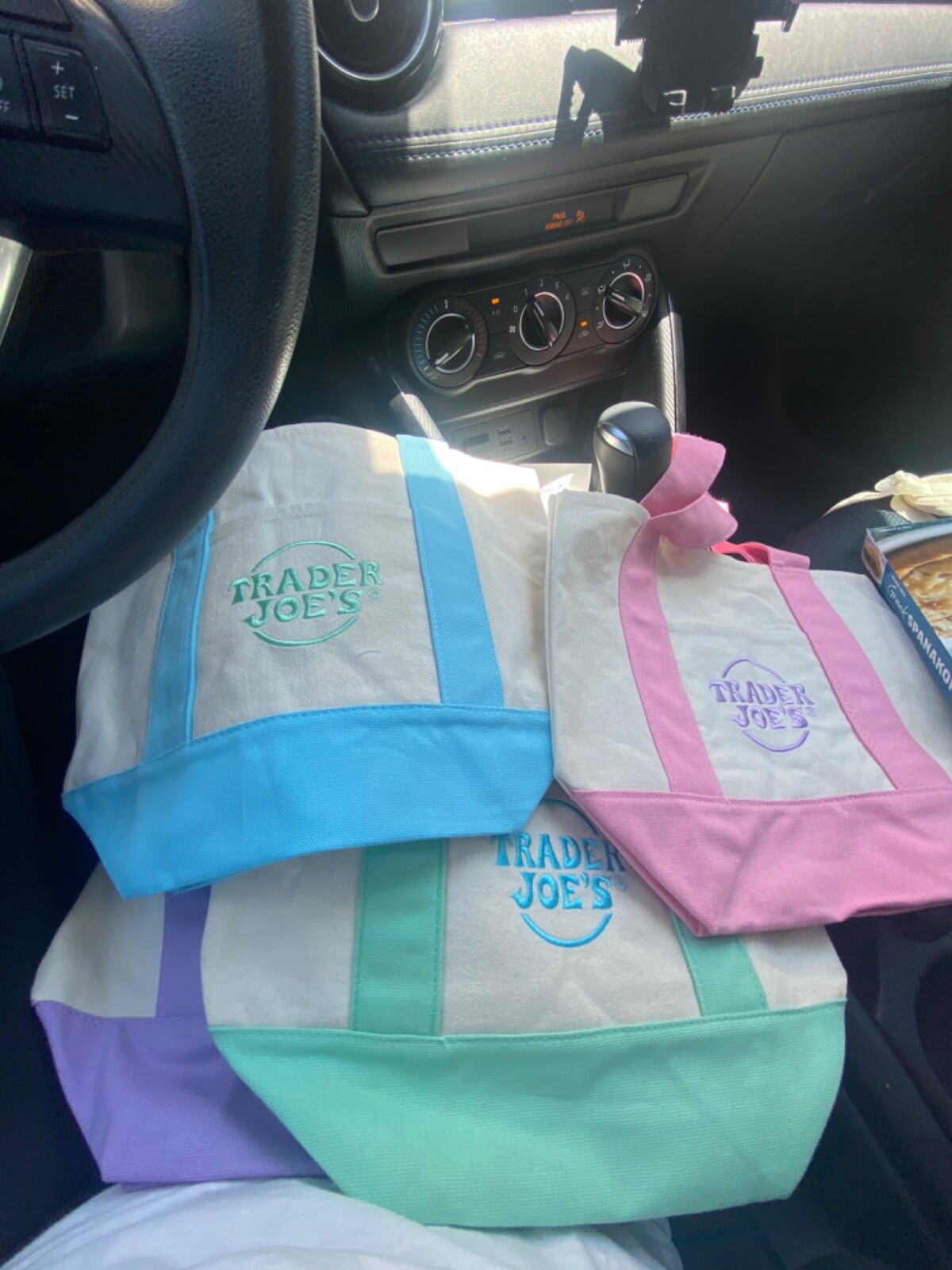 Limited Edition Trader Joe’s Pastel Spring Mini Totes