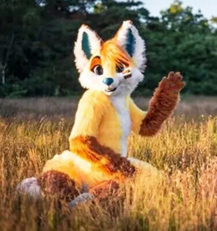 Disfraz de mascota de zorro husky de piel larga traje de Halloween disfraces @78 Foto 3 de 3