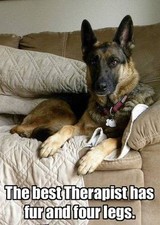 German Shepherd  dog refrigerator magnet  2 1/2 x 3 1/2