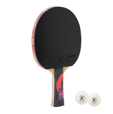 Giant Dragon Tischtennisschläger 8 Sterne ITTF Set + 2 Bälle Tasche Ping Pong