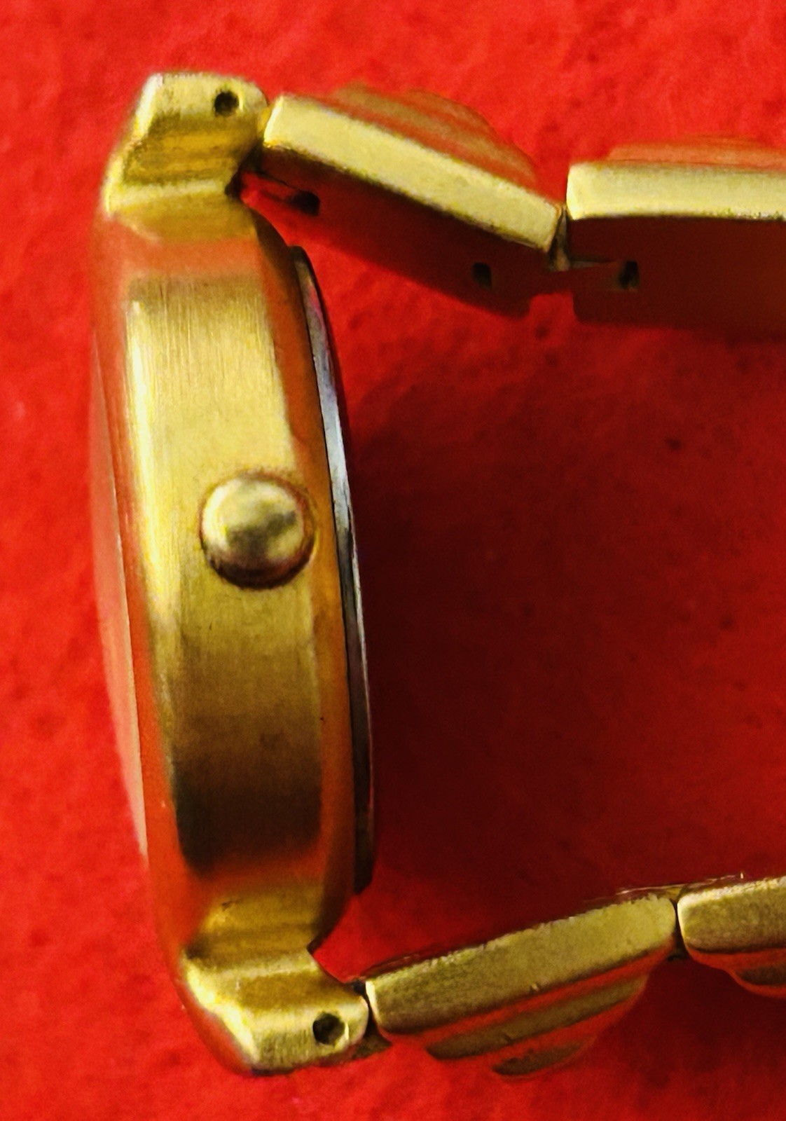 Philippines Watch Foundation For Exploration and … - image 11