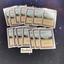1x MTG Unlimited Plains Version A from Estate Collection