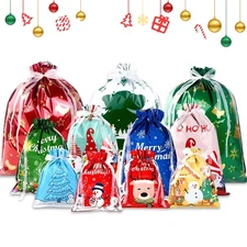 11PCS Christmas Gift Bag & Tags Set for Holiday Wrapping and Gift Giving
