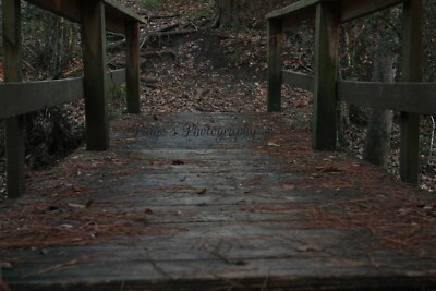 Digital Image Picture photo art bridge from the ground level photo by Paige
