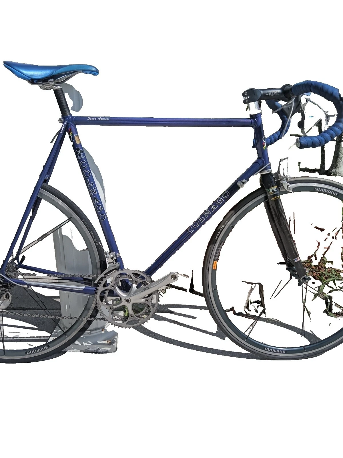 Colnago Steel 700C Bikes