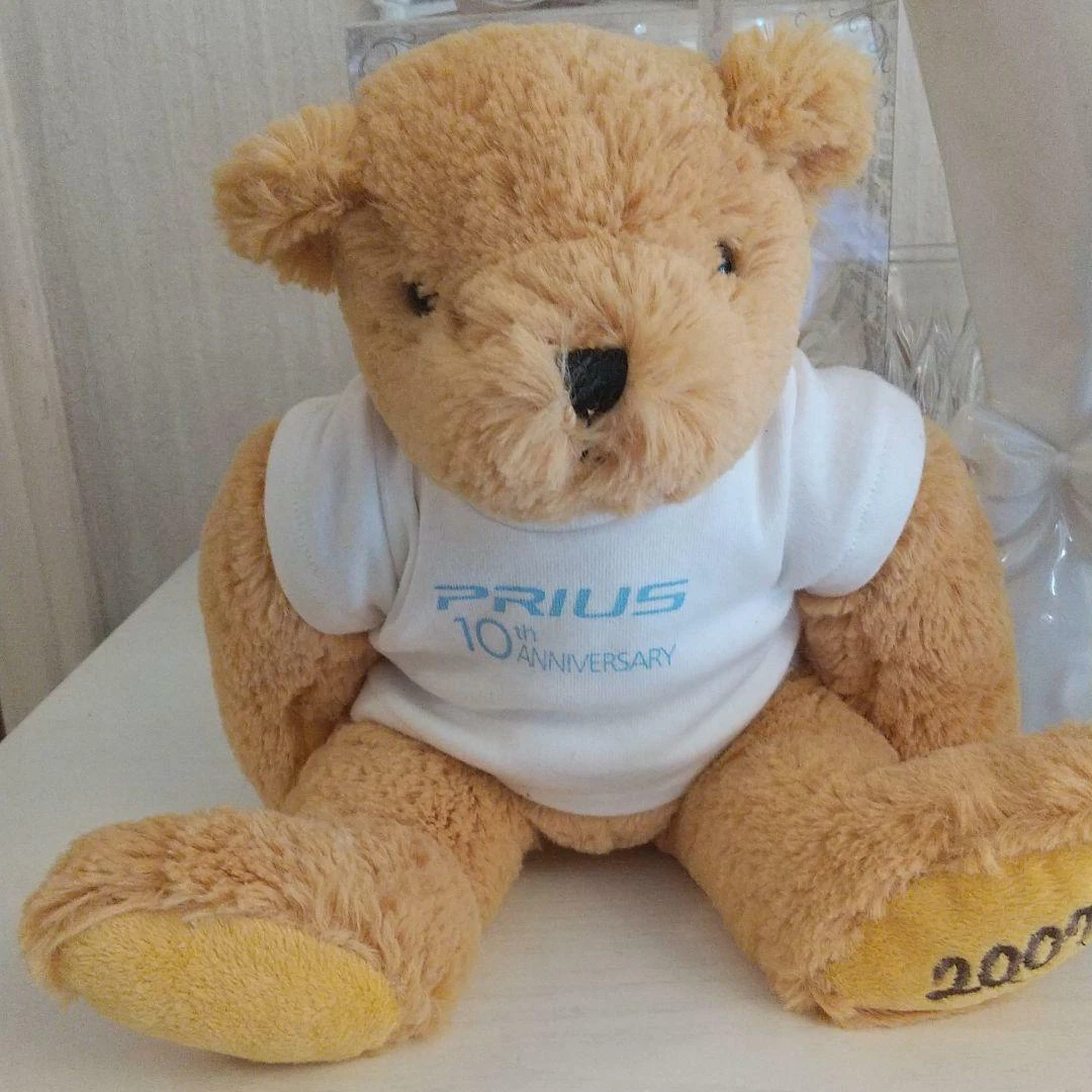 Toyota teddy 2025