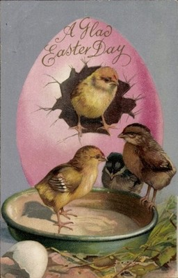 Postcard Congratulations Easter, Chick on Bowl, Colourful Easter Egg - 11130626