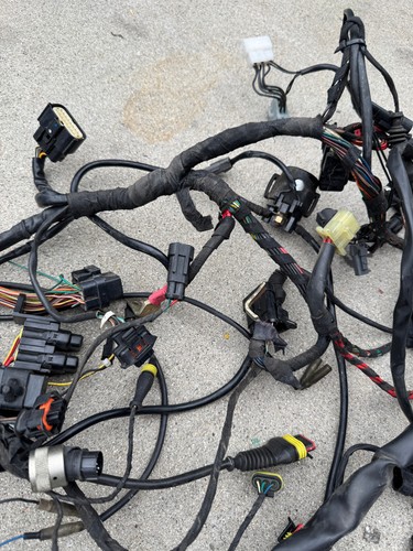 2006 Ducati 749 Wiring Harness /w Ducati Alarm - Bild 4 von 11