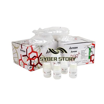 250 times/box AP-MN-P-250 Plasmid DNA small amount extraction kit