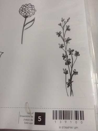 Juego de 5 estampillas Stampin' Up Nature's Perfection #139100 - Imagen 4 de 7