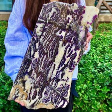 8..26LB Natural Zebra Stone Slices - Bold Stripe Repair Crystal Chips