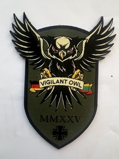 Bundeswehr Patch Verbandsabzeichen Wappen VIGILANT OWL Litauen 2025 Klett