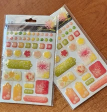 S.E.I. 2 Packs EPOXY STICKERS -MIMOSA Orange green red yellow  SPRING FLOWERS