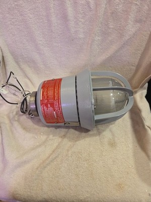 Edwards Signaling, 116DEXMSTC-FJ, Explosion Proof Strobe, Clear Lens, NEW