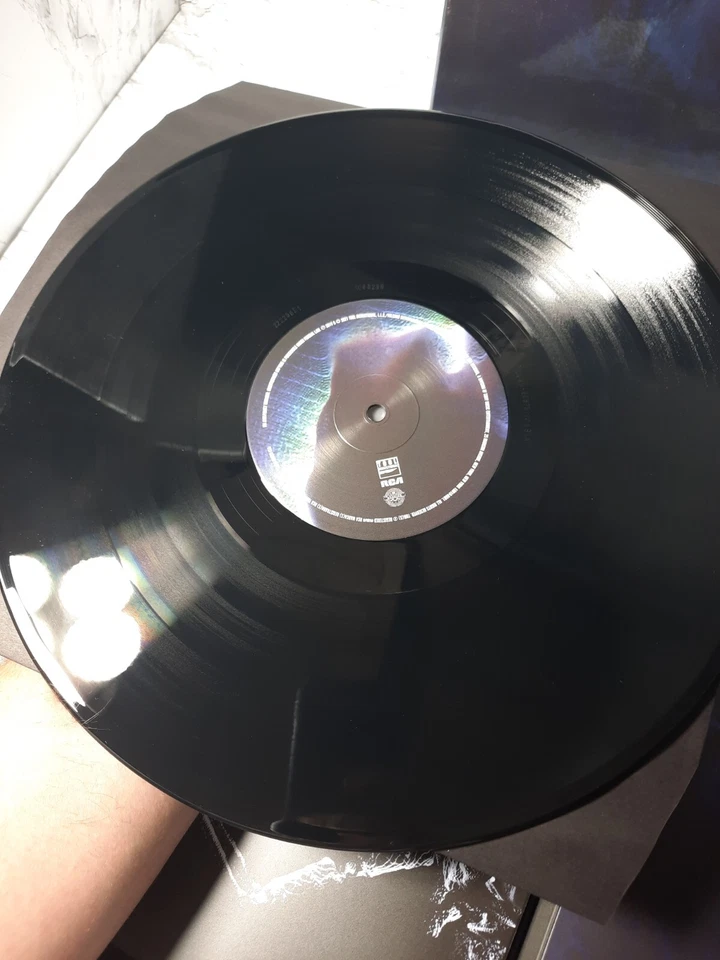 Tool FEAR INOCULUM Deluxe Limited Edition 180g ETCHED VINYL 5 LP BOX SET (READ) - Image 4 of 4