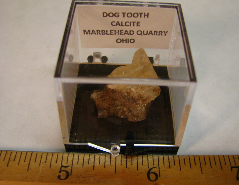 GOLDEN DOGTOOTH CALCITE CLUSTER THUMBNAIL IN CASE MARBLEHEAD QUARRY OHIO #224