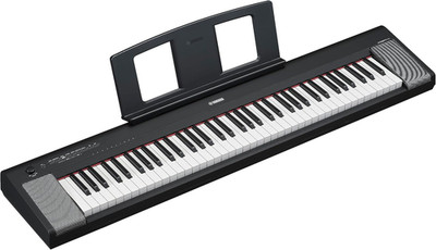 Piaggero 76-Key Ultra-Portable Digital Piano, Premium  Voices, Graded Soft Touch