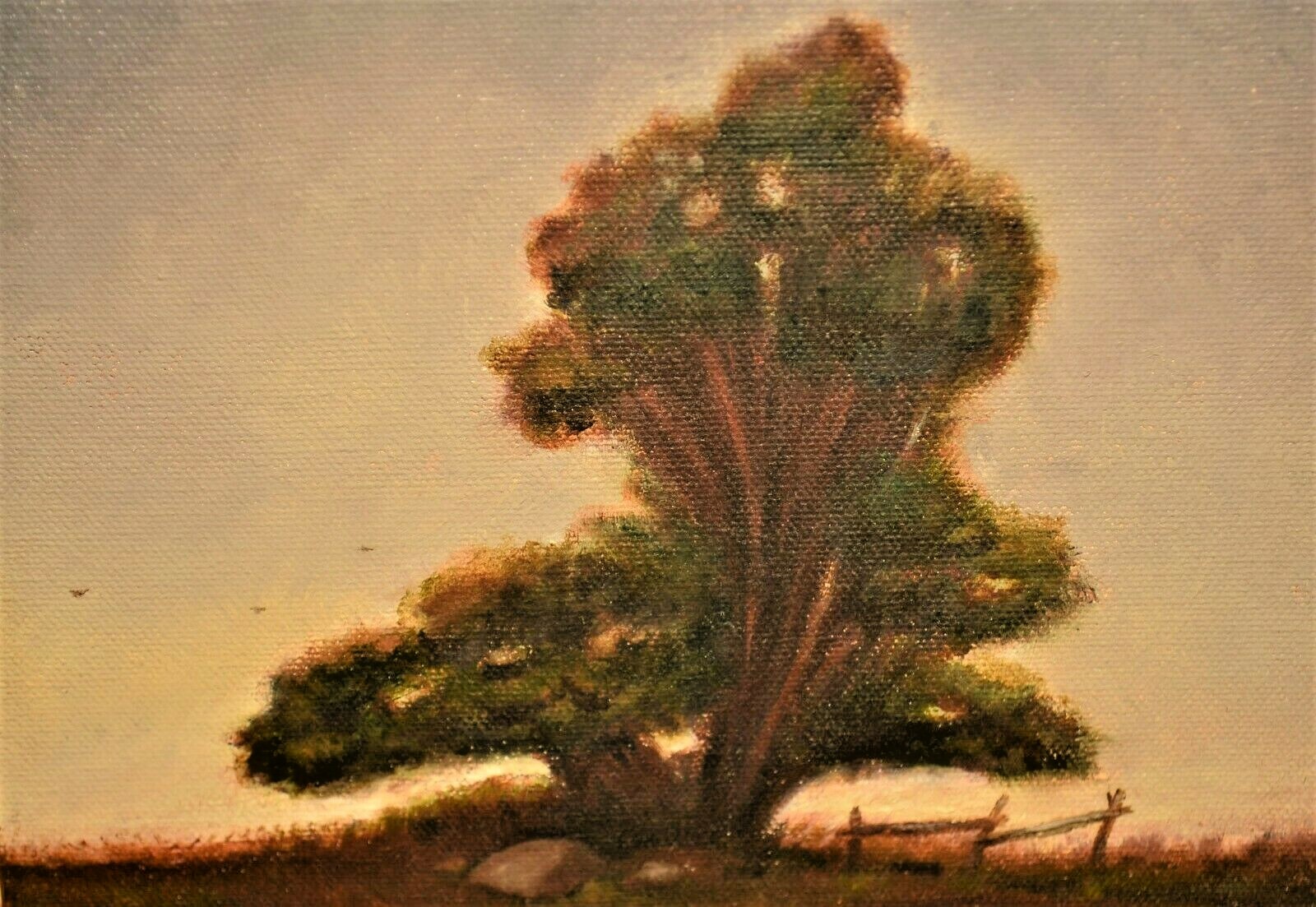 Picture 3 of 12