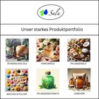Bild 7 von 7