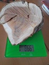 Eibe EIBENHOLZ  Edelholz drechseln Schmuck Basteln Schnitzen Holz Maserung