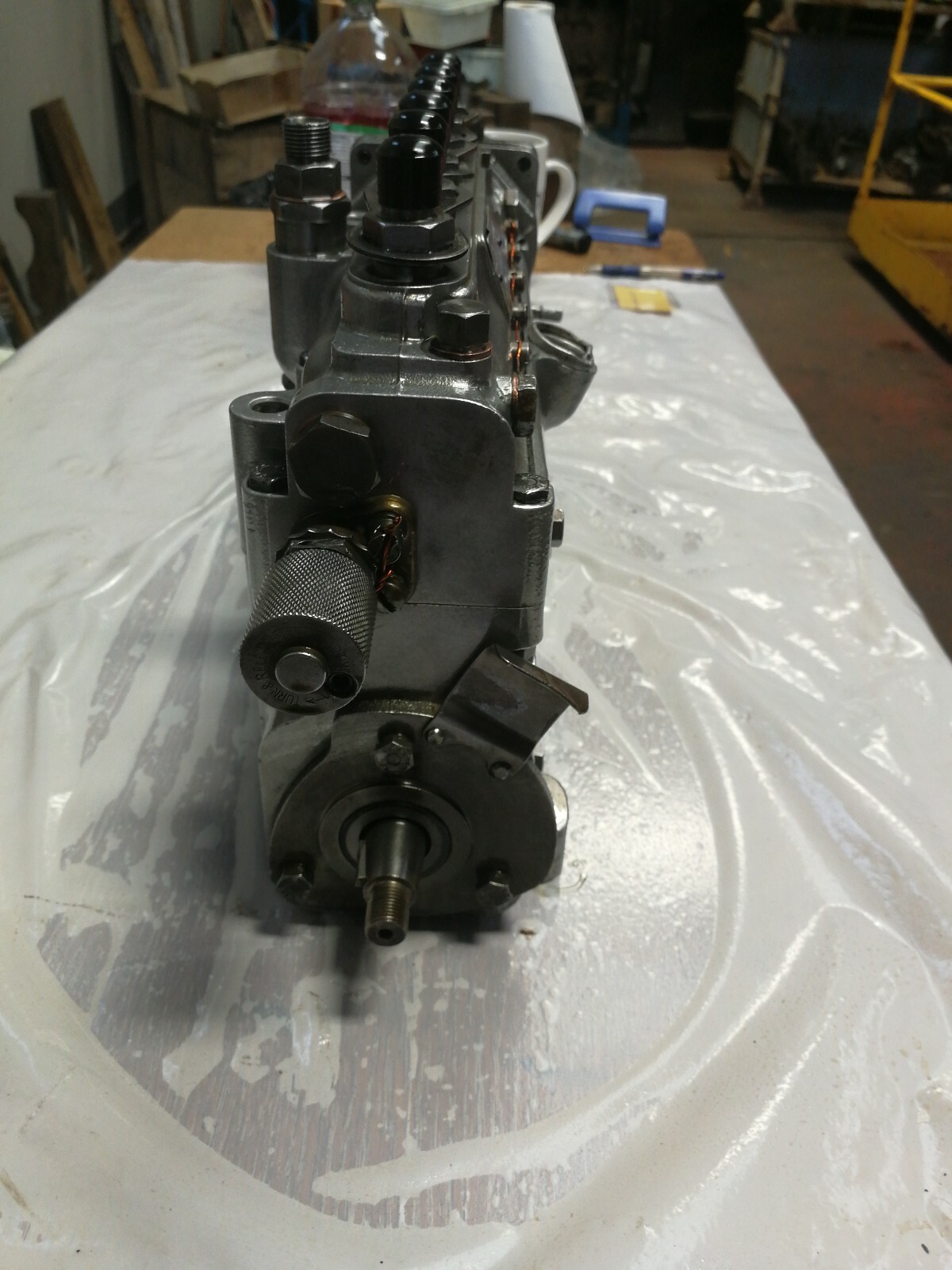 Picture 4 of 7