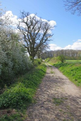 Foto 6x4 Byway Near Thirty Acre verdeckt Bartlow ich bin mir nicht sicher was " c2021