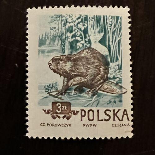 ERROR 1954 POLAND STAMP 3 zł  BEAVER TAIL SHIFTED WELL OUTSIDE OF FRAME - Photo 1 sur 3