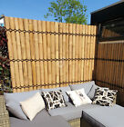 Bild 7 von 20