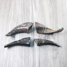 4 Small Polished Goat Horns #604-2 Natural Colored
