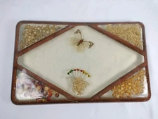 Vintage Butterfly Large Lucite Acrylic Dried Seeds Footed Trivet 11.5”x7"