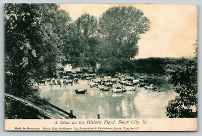 #ad Sioux City Iowa Floyd River Scene Cows Up to their Necks in Water c1910 Bamp;W PC $9.00