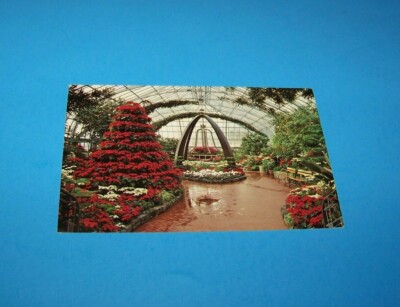 Christmas Display Krohn Conservatory  Cincinnati, Ohio  Vintage Postcard 