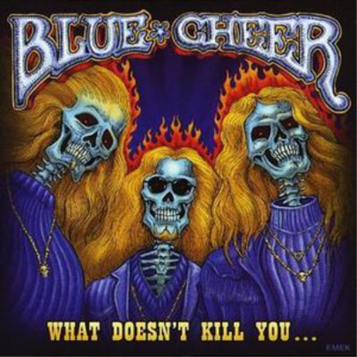 Blue Cheer What Doesn't Kill You (CD) Album